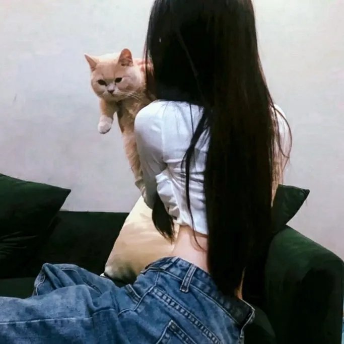 归来